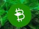 Green Cryptocurrency